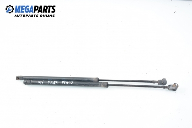 Stoßdämpfer heckklappe for Opel Corsa B 1.2, 45 hp, 1993