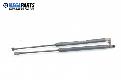 Tije telescopice, portbagaj for Audi A4 (B7) 2.0 TDI, 140 hp, combi, 2004