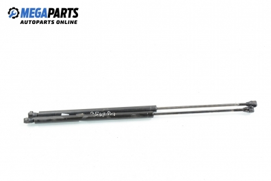Stoßdämpfer heckklappe for Renault Megane Scenic 1.6, 90 hp, 1997