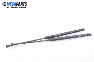 Stoßdämpfer heckklappe for Volkswagen Golf IV 1.6, 100 hp, 2000
