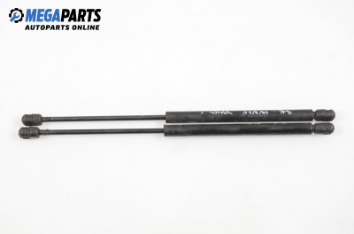 Stoßdämpfer heckklappe for Fiat Punto 1.1, 54 hp, hecktür, 1996