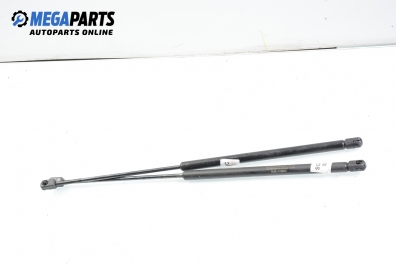 Stoßdämpfer heckklappe for Renault Megane Scenic 1.6, 90 hp, 1998