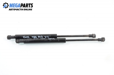 Tijă telescopică, capotă for BMW 3 (E46) 2.5, 170 hp, sedan, 1999