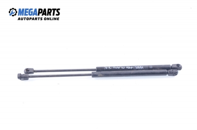 Stoßdämpfer heckklappe for Fiat Punto 1.1, 54 hp, hecktür, 1997