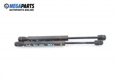 Stoßdämpfer heckklappe for Volkswagen Passat (B5; B5.5) 1.9 TDI, 115 hp, sedan, 2000