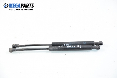 Motorhaubedämpfer for BMW 3 (E46) 1.8, 115 hp, hecktür, 2003