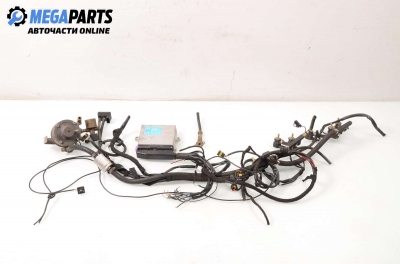 LPG injection system for BMW X5 (E53) (1999-2006) 3.0