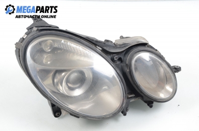 Xenon headlight for Mercedes-Benz E W211 3.2 CDI, 177 hp, station wagon automatic, 2005, position: right