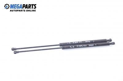 Stoßdämpfer heckklappe for Peugeot 206 1.1, 60 hp, hecktür, 2001