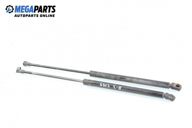 Stoßdämpfer heckklappe for Audi A3 (8L) 1.6, 101 hp, 1997