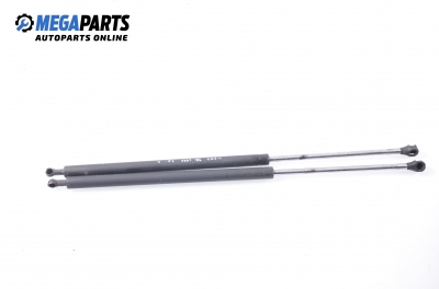 Stoßdämpfer heckklappe for Renault Megane Scenic 1.9 dTi, 98 hp, 1998