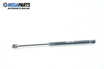 Tije telescopice, portbagaj for Renault Megane II 1.9 dCi, 120 hp, hatchback, 2003