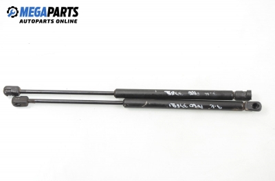 Stoßdämpfer heckklappe for Volkswagen Polo (6N/6N2) 1.3, 55 hp, 1995