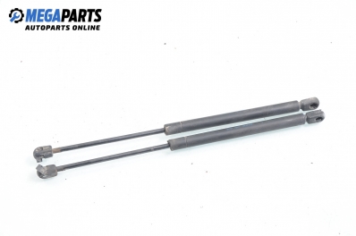 Stoßdämpfer heckklappe for Volkswagen Polo (6N/6N2) 1.9 D, 64 hp, 1998