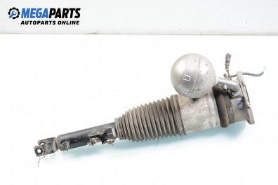 Air shock absorber for Volkswagen Phaeton 5.0 TDI 4motion, 313 hp automatic, 2003, position: rear - right