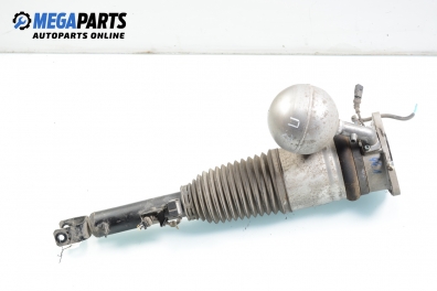 Amortizor pneumatic for Volkswagen Phaeton 5.0 TDI 4motion, 313 hp automatic, 2003, position: dreaptă - spate