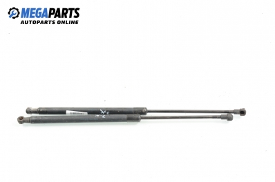 Stoßdämpfer heckklappe for Audi A3 (8P) 1.6, 102 hp, 2003