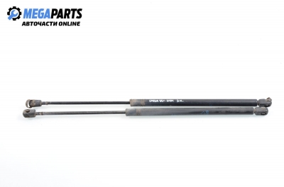 Stoßdämpfer heckklappe for Opel Corsa B 1.4, 60 hp, 1995