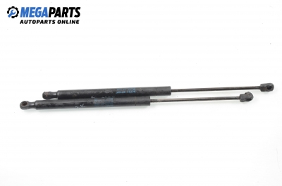 Tije telescopice, portbagaj for Audi A6 (C5) 1.9 TDI, 130 hp, combi, 2002