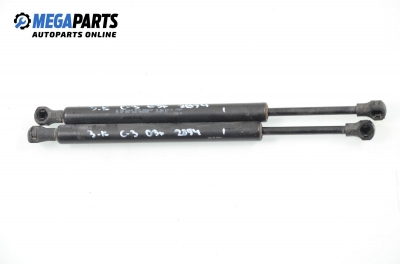 Stoßdämpfer heckklappe for Citroen C3 Pluriel 1.6, 109 hp, 2003