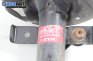 Amortizor McPherson for Renault Grand Scenic II Minivan (04.2004 - 06.2009), monovolum, position: stânga - fața