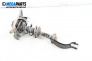 Amortizor McPherson for Audi A4 Avant B8 (11.2007 - 12.2015), combi, position: stânga - fața