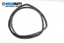 Türdichtung for BMW X5 Series E53 (05.2000 - 12.2006), 5 türen, suv, position: links, rückseite