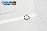 Cargo door for Fiat Doblo Cargo I (11.2000 - 02.2010), truck, position: rear - left