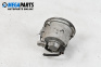 Nebelleuchte for Hyundai Santa Fe I SUV (11.2000 - 03.2006), suv, position: rechts