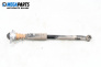 Amortizor for Audi A3 Hatchback I (09.1996 - 05.2003), hatchback, position: dreaptă - spate