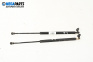 Tije telescopice, portbagaj for Renault Scenic I Minivan (09.1999 - 07.2010)
