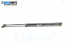 Tije telescopice, portbagaj for Renault Scenic I Minivan (09.1999 - 07.2010)