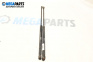 Boot lid dampers for Volkswagen Golf IV Hatchback (08.1997 - 06.2005)