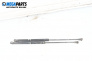 Boot lid dampers for Volkswagen Golf IV Hatchback (08.1997 - 06.2005)