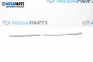Material profilat exterior for Opel Zafira B Minivan (07.2005 - 14.2015), monovolum, position: dreapta