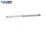 Boot lid dampers for Volkswagen Golf IV Hatchback (08.1997 - 06.2005)
