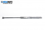 Tije telescopice, portbagaj for Audi A3 Hatchback I (09.1996 - 05.2003)