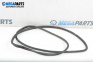 Door seal for Citroen C4 Coupe (11.2004 - 12.2013), 3 doors, coupe, position: left