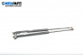 Tije telescopice, portbagaj for Renault Scenic I Minivan (09.1999 - 07.2010)