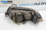 Scheinwerfer for Volkswagen Passat IV Variant B5.5 (09.2000 - 08.2005), combi, position: rechts