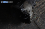  for BMW 3 (E36) 1.6, 102 hp, hatchback, 1994